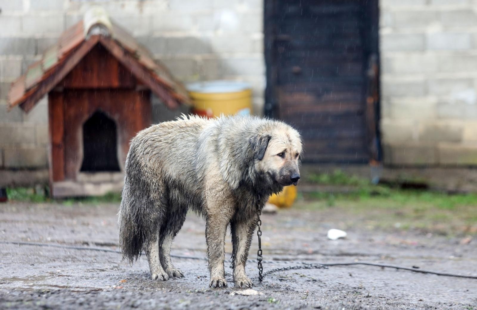 03.01.2021., Majske Poljane - U potresu pogodjenom selu, Majskim poljanama puno je porusenih kuca, a sada im vec zbog dugotrajne kise, prijete i poplave. Photo: Marin Tironi/PIXSELL