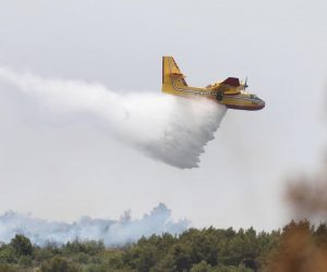 21.06.2021., Sibenik - Na benkovackoj cesti u pravcu Zagreba vatrogasci se uz pomopc kanadera bore sa pozarom. Photo: Dusko Jaramaz/PIXSELL