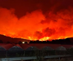 epa09399806 Smoke and flames rise as a wildfire burns the area of Skepasti in Evia island, eastern coast of Central Greece, 05 August 2021 (issued 06 August 2021).The battle with the flames continued for a third consecutive day in north Evia, where various fronts had joined to form three massive fire fronts moving in different directions and moving toward the sea.The region of Central Greece announced that the villages Aghia Anna, Kerasia and Ahladi in northern Evia must be evacuated due to the raging fire in the area.  EPA/PANAGIOTIS KOUROS