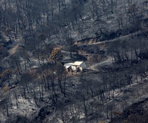 epaselect epa09461081 A house stands in the middle of an area devastated by the forest fire in Sierra Bermeja, Malaga, Spain, 11 September 2021. The fire has burned almost 4,000 hectares of Estepona municipality, forcing the eviction of more than 1,000 residents due to the proximity of the flames to their homes.  EPA/Daniel Perez