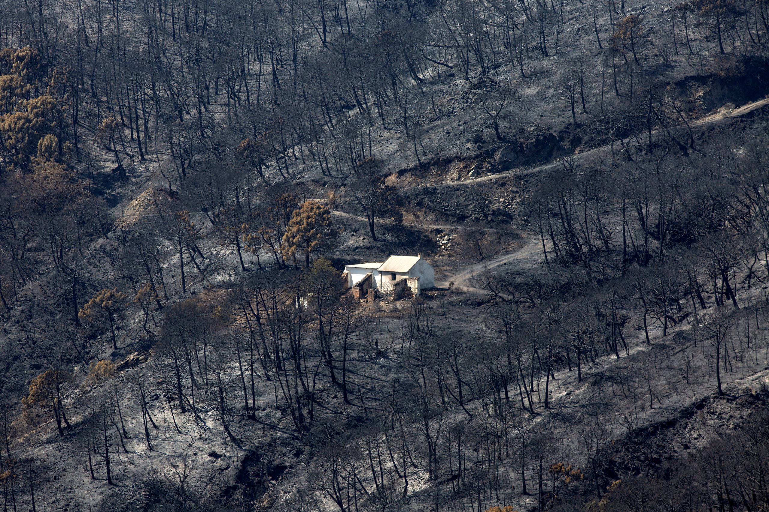 epaselect epa09461081 A house stands in the middle of an area devastated by the forest fire in Sierra Bermeja, Malaga, Spain, 11 September 2021. The fire has burned almost 4,000 hectares of Estepona municipality, forcing the eviction of more than 1,000 residents due to the proximity of the flames to their homes.  EPA/Daniel Perez