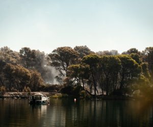 ibenik, 14.07.2022 - Kod Zatona vie nema nekontroliranog irenja poara, izvijestila je u èetvrtak ujutro Hrvatska vatrogasna zajednica (HVZ) po èijim su podacima od est sati u gaenje ukljuèena dva Canadaira.

Tijekom cijele noæi vie od 300 vatrogasaca borilo se s vatrenom stihijom kod Zatona i Rasline, objavila je u 7,30 sati vatrogasna zajednica na internetskim stranicama.Vatrogasci su uspjeli poar noæas oko 2 sata staviti jednim dijelom pod kontrolu te jutros nema nekontroliranog irenja vatre i velikih fronti, a poar je, navode okruen sa svih strana. foto HINA/ ibenik IN/ Mate GOJANOVIÆ/ ik