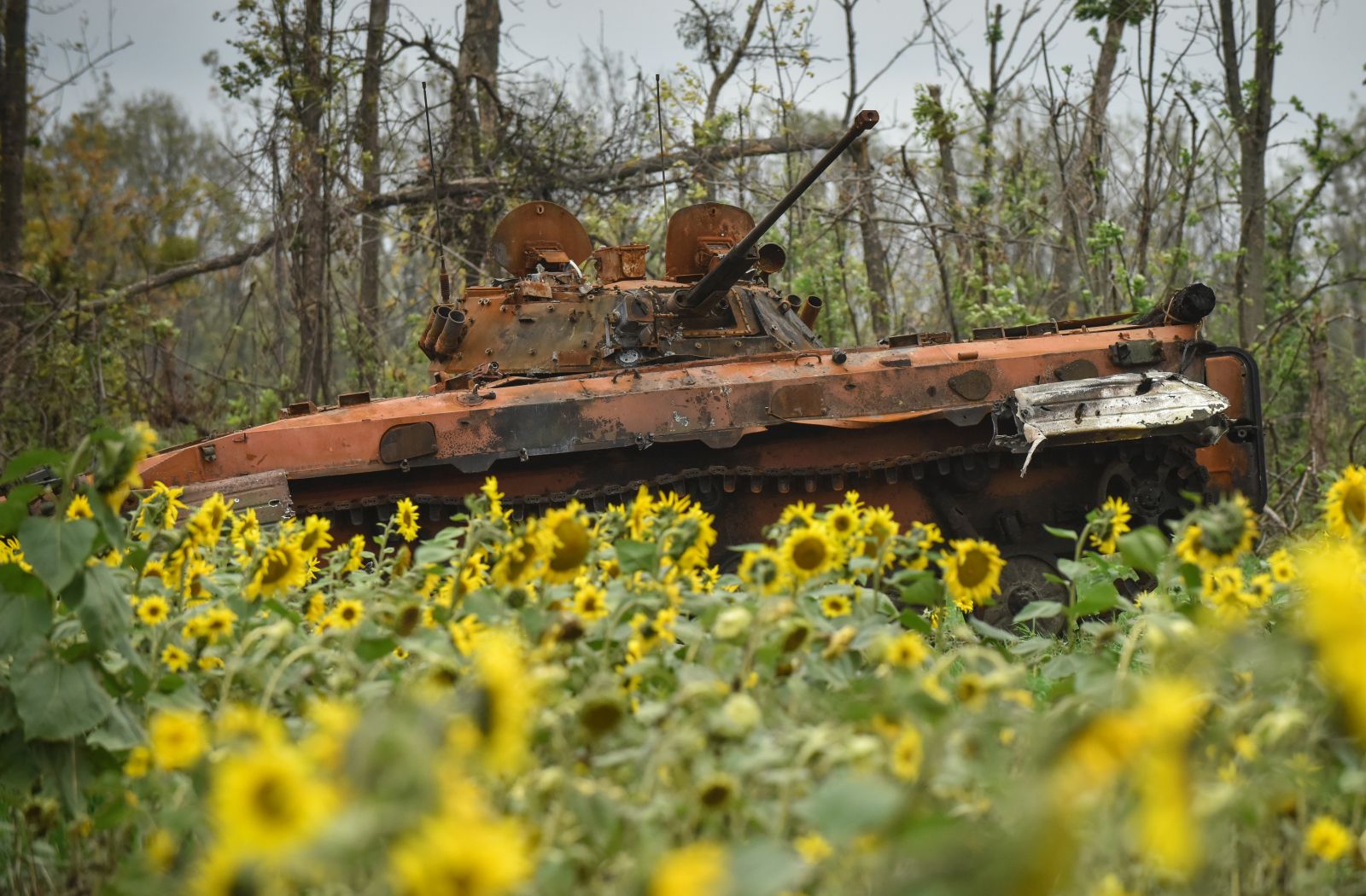 epa10219846 A burned Russian armored vehicle in Donetsk region, Ukraine, 02 October 2022. The Ukrainian army pushed Russian troops from occupied territory in the northeast of the country in a counterattack. Kharkiv and surrounding areas have been the target of heavy shelling since February 2022, when Russian troops entered Ukraine starting a conflict that has provoked destruction and a humanitarian crisis.  EPA/OLEG PETRASYUK