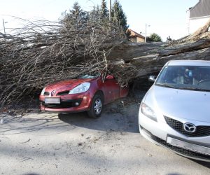 Zagreb, 04.02.2023. - Jak vjetar koji je jutros puhao na zagrebačkom području, srušio je stablo na Fallerovom šetalištu, koje je palo na parkirane automobile na kojima je napravljena materijalna šteta.
foto HINA/ Admir BULJUBAŠIĆ/ abu