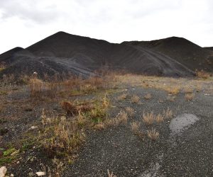 20.01.2015., Biljane - Zdravko Belusic ispred 'crnog brda' u Biljanima Donjim, gdje je deponiran materijal toksican materijal tijekom sanacije sibenskog TEF-a od strane tvrtke MLM. "nPhoto: Dino Stanin/PIXSELL