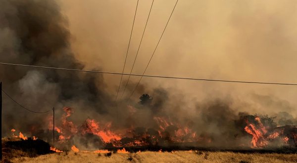 epa10766541 A fire burns trees and low vegetation in the Kiotari area of ​​Rhodes, Greece, 24 July 2023. The fire brigade and volunteers are fighting to prevent the fire from entering the villages of Gennadi and Vati, in southern Rhodes. Several fire engines and volunteers have rushed to the area, while water is being thrown from firefighting planes. A while ago, by order from 112, it was decided to evacuate both villages. The battle continues in Asclepion.  EPA/LEFTERIS DAMIANIDIS