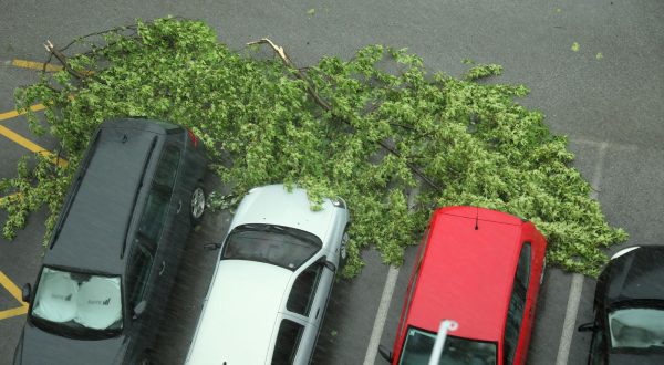 19.07.2023.,Zagreb -. Nezapamceno nevrijeme koje je stiglo u Zagreb cupalo je drvece Photo: Emica Elvedji/PIXSELL