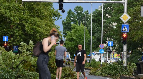 19.07.2023., Zagreb - Posljedice snaznog nevremena na Selskoj cesti.  Photo: Josip Regovic/PIXSELL