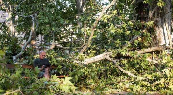 19.7.2023., Zagreb - Posljedice olujnog nevremena na Zrinjevcu. Photo: Neva Zganec/PIXSELL