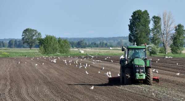 07.05.2019., Pakostane - Lijep proljetni dan poljoprivrednici iskoristili za obradu zemlje i sjetvu. Photo: Hrvoje Jelavic/PIXSELL