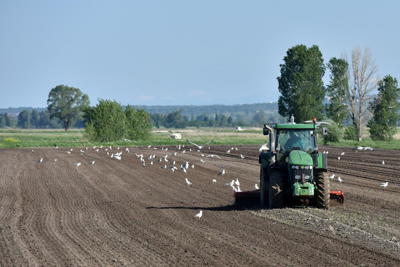 07.05.2019., Pakostane - Lijep proljetni dan poljoprivrednici iskoristili za obradu zemlje i sjetvu. Photo: Hrvoje Jelavic/PIXSELL