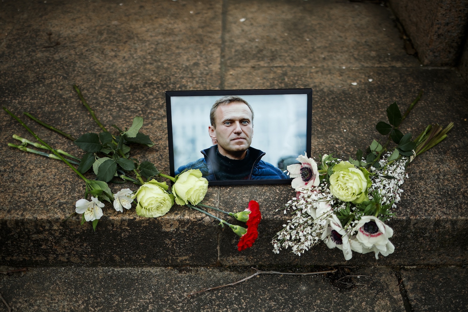 epa11158318 A portrait of Russian opposition leader and anti-corruption activist Alexey Navalny is displayed with flowers during a demonstration following the announcement of his death near the Russian Embassy in Paris, France, 16 February 2024. Russian opposition leader and outspoken Kremlin critic Alexey Navalny has died aged 47 in a penal colony, the Federal Penitentiary Service of the Yamalo-Nenets Autonomous District announced on 16 February 2024. A prison service statement said that Navalny 'felt unwell' after a walk on 16 February, and it was investigating the causes of his death. In late 2023 Navalny was transferred to an Arctic penal colony considered one of the harshest prisons.  EPA/YOAN VALAT