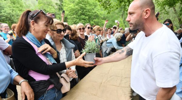 01.05.2024., Skradin - Nacionalni park Krka pridruzio se europskoj akciji Rastemo zajedno te je posjetiteljima podijelio tisucu sadnica lovora i lavande. 
Ovom akcijom Rastemo zajedno daje se doprinos europskoj inicijativi sadnje tri milijarde stabala na Starom kontinentu do 2030. i borbi protiv klimatskih promjena i poticemo sadnju nasih autohtonih biljaka. U podjeli sadnica sudjelovao je i ministar Damir Habijan. Photo: Hrvoje Jelavic/PIXSELL