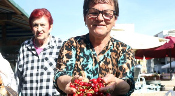 06.05.2024., Sibenik - Na sibensku trznicu su stigle prve ovogodisnje tresnje. Stigle su iz Ljubostinja i Dubravica. Cijena im je 8 do 10 eura za kilogram. Photo: Dusko Jaramaz/PIXSELL