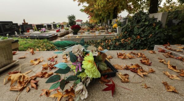 24.10.2023.,Zagreb,  gradsko groblje Mirosevacj, stanje nakon ovoljetnog nevremena i uredjenost groblja uoci Sisveta.
Photo: Robert Anic/PIXSELL      Photo: Robert Anic/PIXSELL