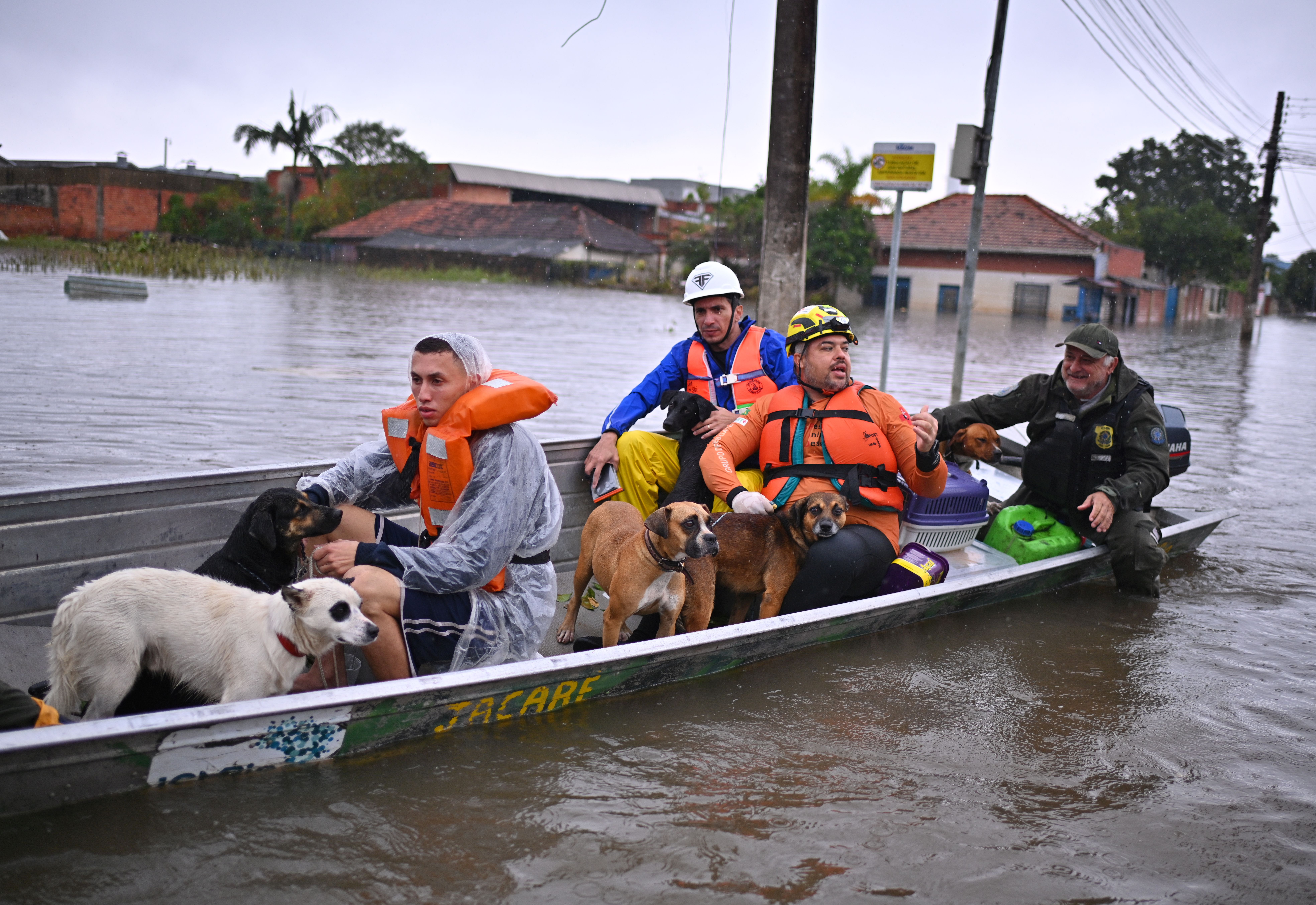 epa11332123 Rescuers carry some of the rescued dogs in a flooded area in Canoas, metropolitan region of Porto Alegre, Brazil, 10 May 2024. The death toll from the devastating floods in southern Brazil reached 116 this10 May and the Government warned of heavy rainfall for the weekend, which could further aggravate a situation that is already critical.  EPA/Andre Borges