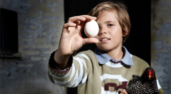 Boy holding egg and chicken outdoors,Image: 295622327, License: Royalty-free, Restrictions: Specifically, you may not use the Images in ways or contexts that might reasonably be construed as pornographic, defamatory, libellous or otherwise unlawful;
Specifically, you may not use images depicting any model in any unduly controversial or unflattering context, unless accompanied with a statement indicating that the person is a model and the images are being used for illustrative purposes only., Model Release: yes, Credit line: Henrik Weis / ImageSource / Profimedia