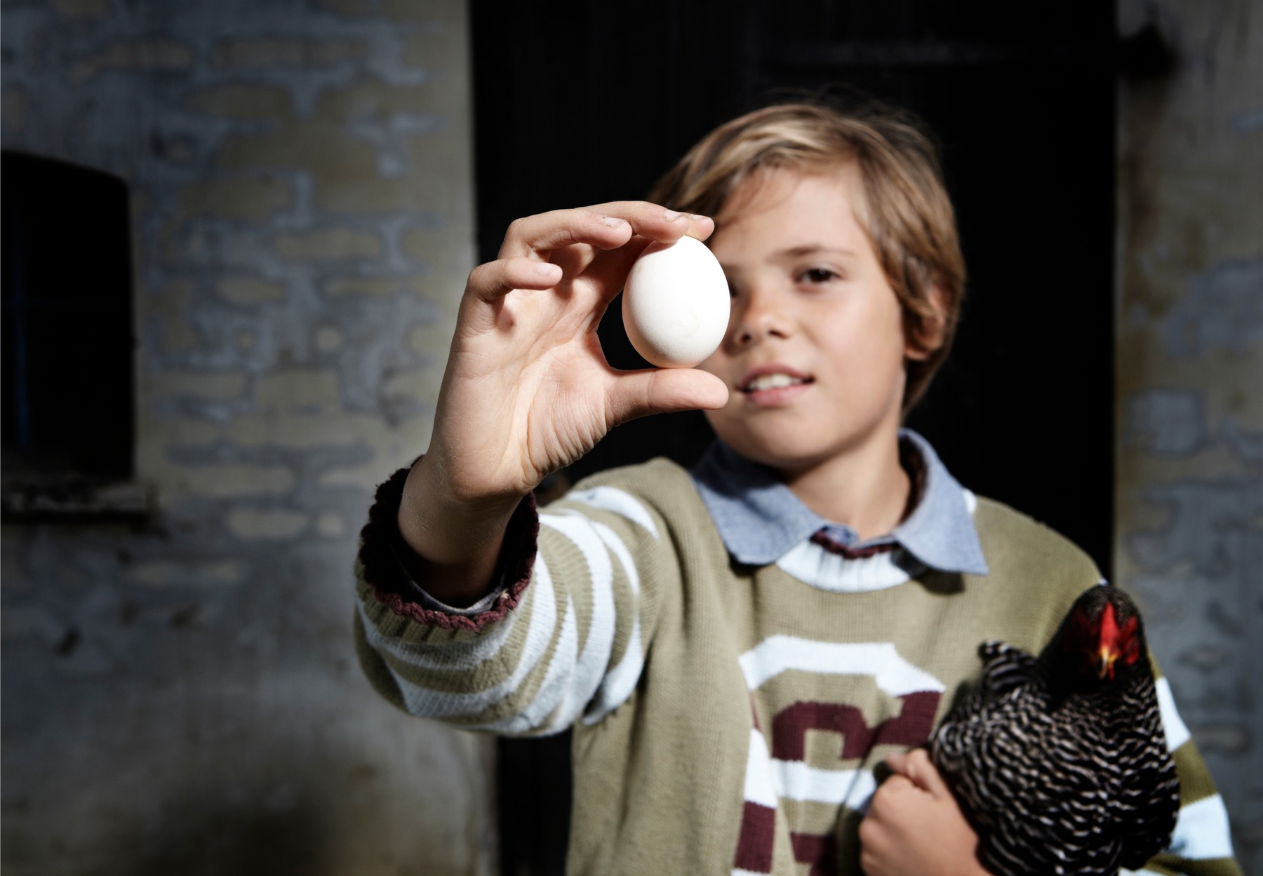 Boy holding egg and chicken outdoors,Image: 295622327, License: Royalty-free, Restrictions: Specifically, you may not use the Images in ways or contexts that might reasonably be construed as pornographic, defamatory, libellous or otherwise unlawful;
Specifically, you may not use images depicting any model in any unduly controversial or unflattering context, unless accompanied with a statement indicating that the person is a model and the images are being used for illustrative purposes only., Model Release: yes, Credit line: Henrik Weis / ImageSource / Profimedia