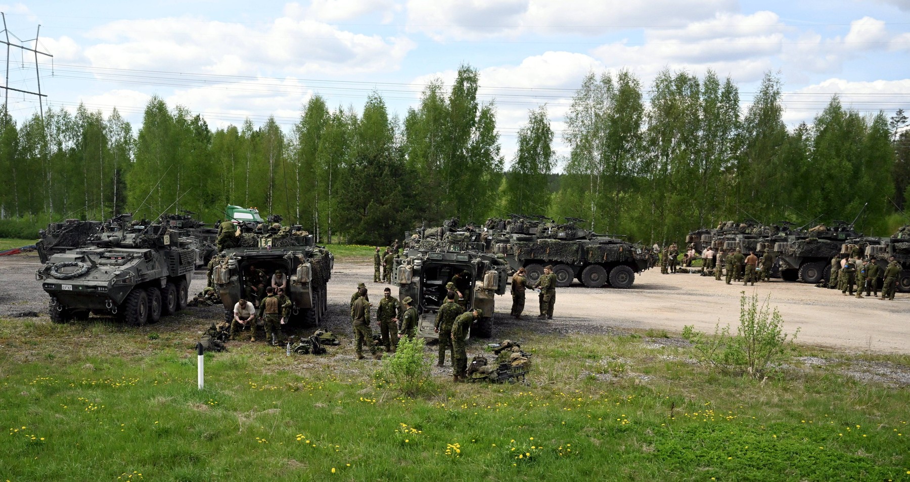 Snage NATO-a u Estoniji