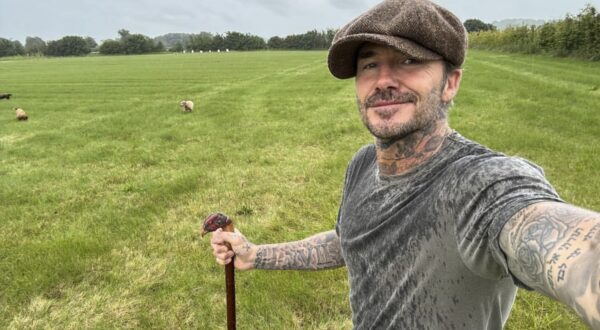 Screenshot of David Beckham, latest post on social media, 15th June 2024.
Quote:
"Hay fever kicking in a little tickle in the throat but a little will solve that... Looks like @victoriabeckham has a few spring onions for lunch and dinner for the next few weeks. How am I doing @alantitchmarshmbe.",,Image: 882014846, License: Rights-managed, Restrictions: Restrictions:
*** SOCIAL MEDIA IMAGE for EDITORIAL USE ONLY! * NB: Fees charged by Avalon are for Avalon's services only, and do not, nor are they intended to, convey to the user any ownership of Copyright or License in the material. Avalon does not claim any ownership including but not limited to Copyright or License in the attached material. By publishing this material you (the user) expressly agree to indemnify and to hold Avalon and its directors, shareholders and employees harmless from any loss, claims, damages, demands, expenses (including legal fees), or any causes of action or allegation against Avalon arising out of or connected in any way with publication of the material. * Handling Fee Only ***, ***
HANDOUT image or SOCIAL MEDIA IMAGE or FILMSTILL for EDITORIAL USE ONLY! * Please note: Fees charged by Profimedia are for the Profimedia's services only, and do not, nor are they intended to, convey to the user any ownership of Copyright or License in the material. Profimedia does not claim any ownership including but not limited to Copyright or License in the attached material. By publishing this material you (the user) expressly agree to indemnify and to hold Profimedia and its directors, shareholders and employees harmless from any loss, claims, damages, demands, expenses (including legal fees), or any causes of action or allegation against Profimedia arising out of or connected in any way with publication of the material. Profimedia does not claim any copyright or license in the attached materials. Any downloading fees charged by Profimedia are for Profimedia's services only. * Handling Fee Only 
***, Model Release: no, Credit line: B4859 / Avalon / Profimedia