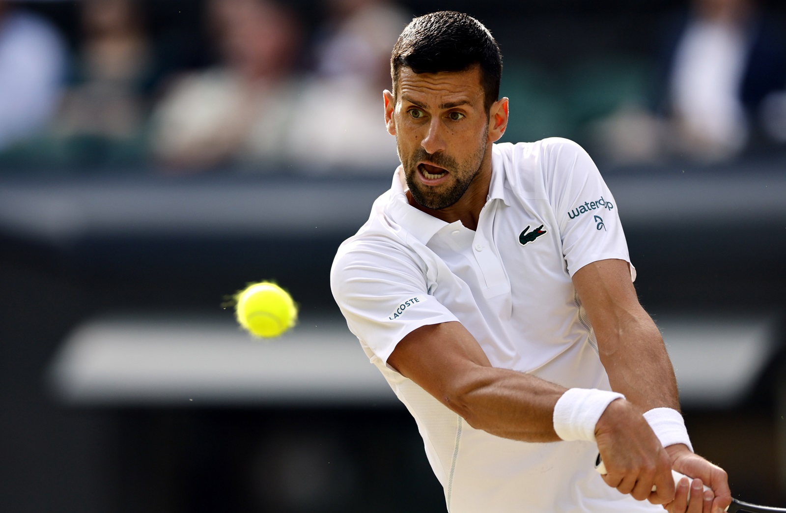 epa11474584 Novak Djokovic of Serbia in action during the Men's semifinal match against Lorenzo Musetti of Italy at the Wimbledon Championships, Wimbledon, Britain, 12 July 2024.  EPA/TOLGA AKMEN  EDITORIAL USE ONLY