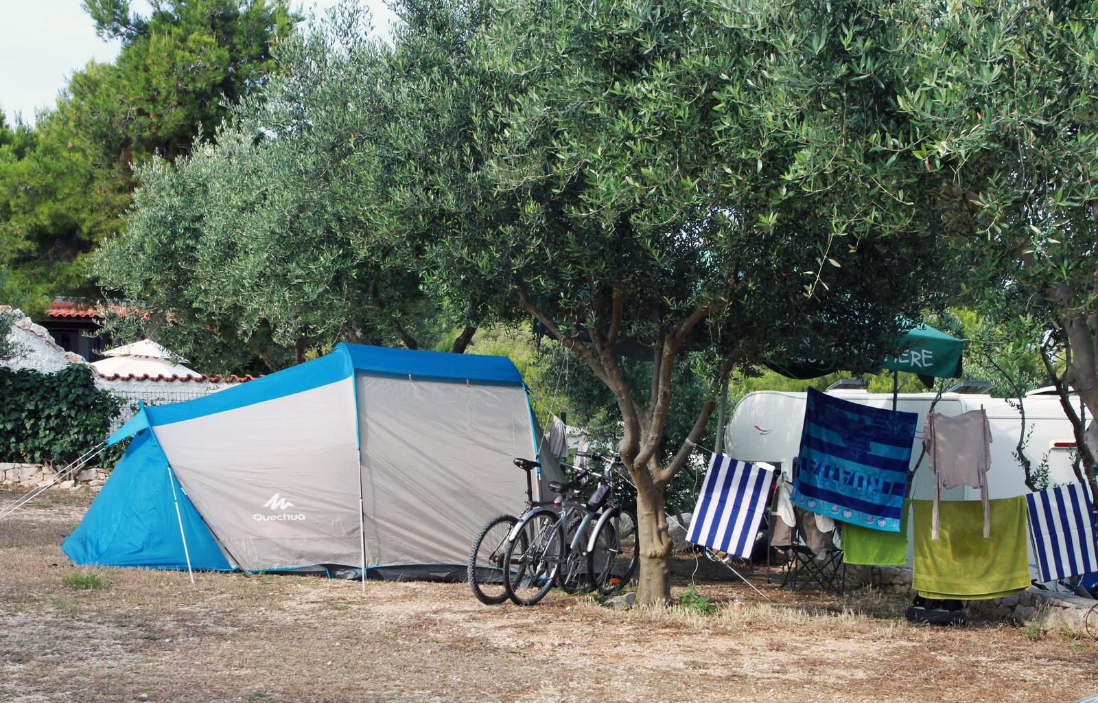 21.06.2014.,Ciovo - Autocamp Labadusa  koji se nalazi na malom poluotocicu, obraslom sumom."nPhoto: Ivana Ivanovic/PIXSELL