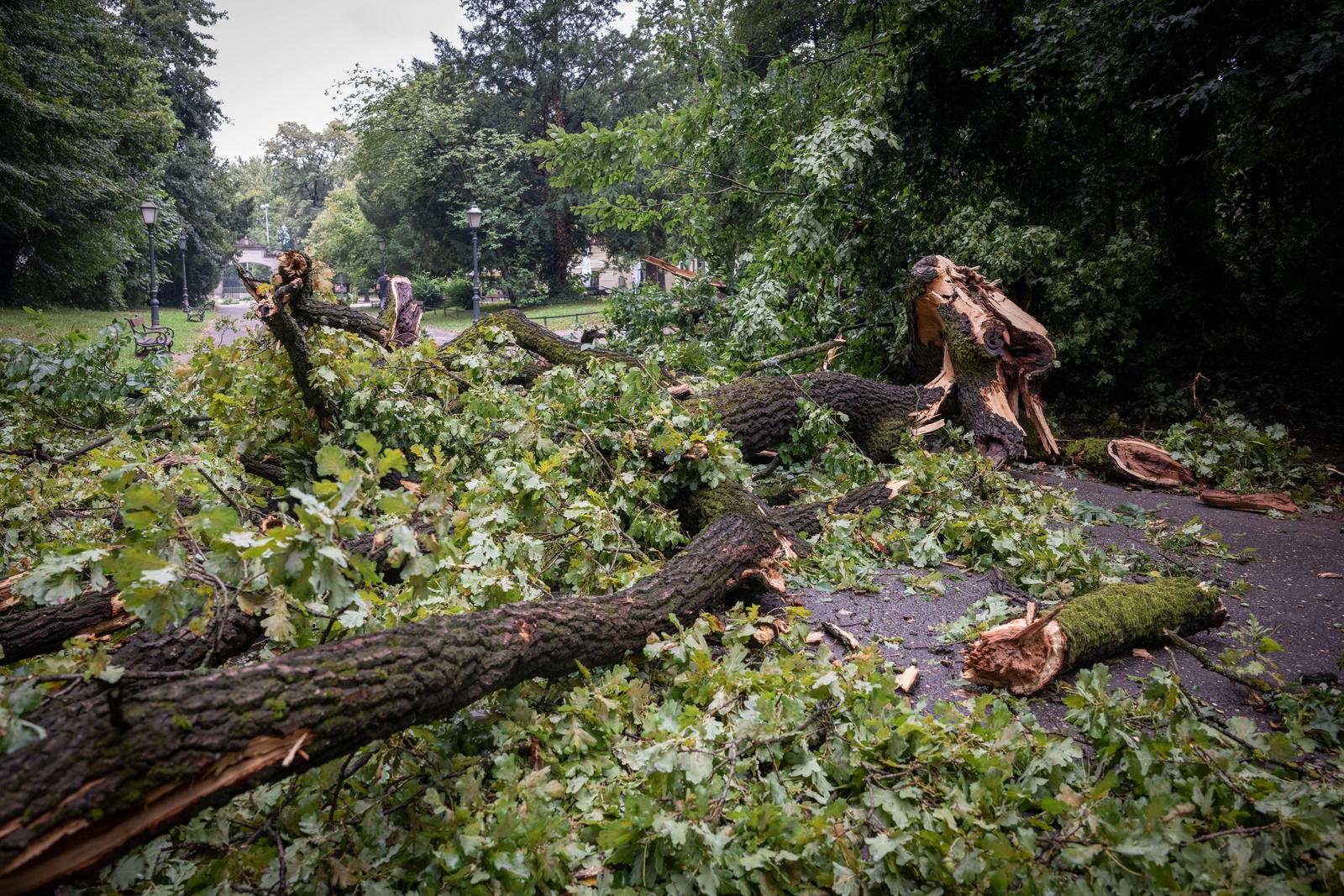 20.07.2024., Zagreb - Posljedice nocasnjeg nevremena u parku Maksimir. Photo: Neva Zganec/PIXSELL