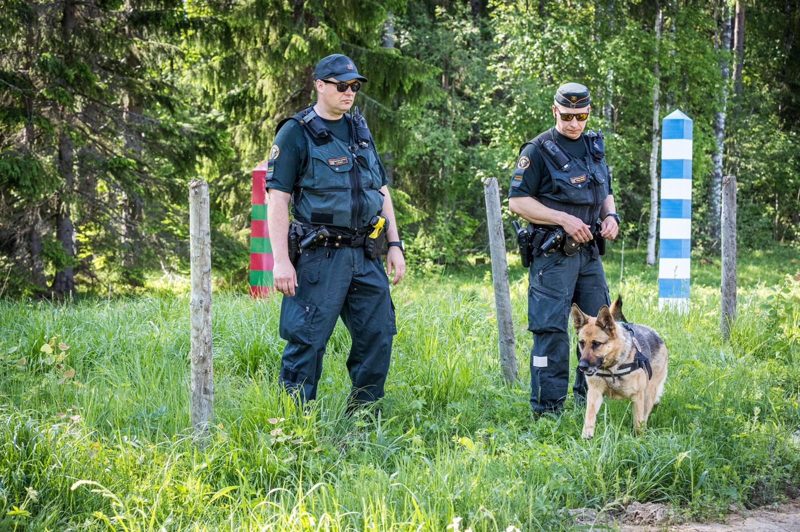 The Finnish Border Guard held a media event on the border between Finland and Russia in Joensuu on June 5th, 2024. Border guard Piitulainen with a dog Nita (R) and border guard Loujas.,Image: 879083999, License: Rights-managed, Restrictions: FINLAND OUT. NO THIRD PARTY SALES., Model Release: no, Credit line: Jarno Artika / Lehtikuva / Profimedia