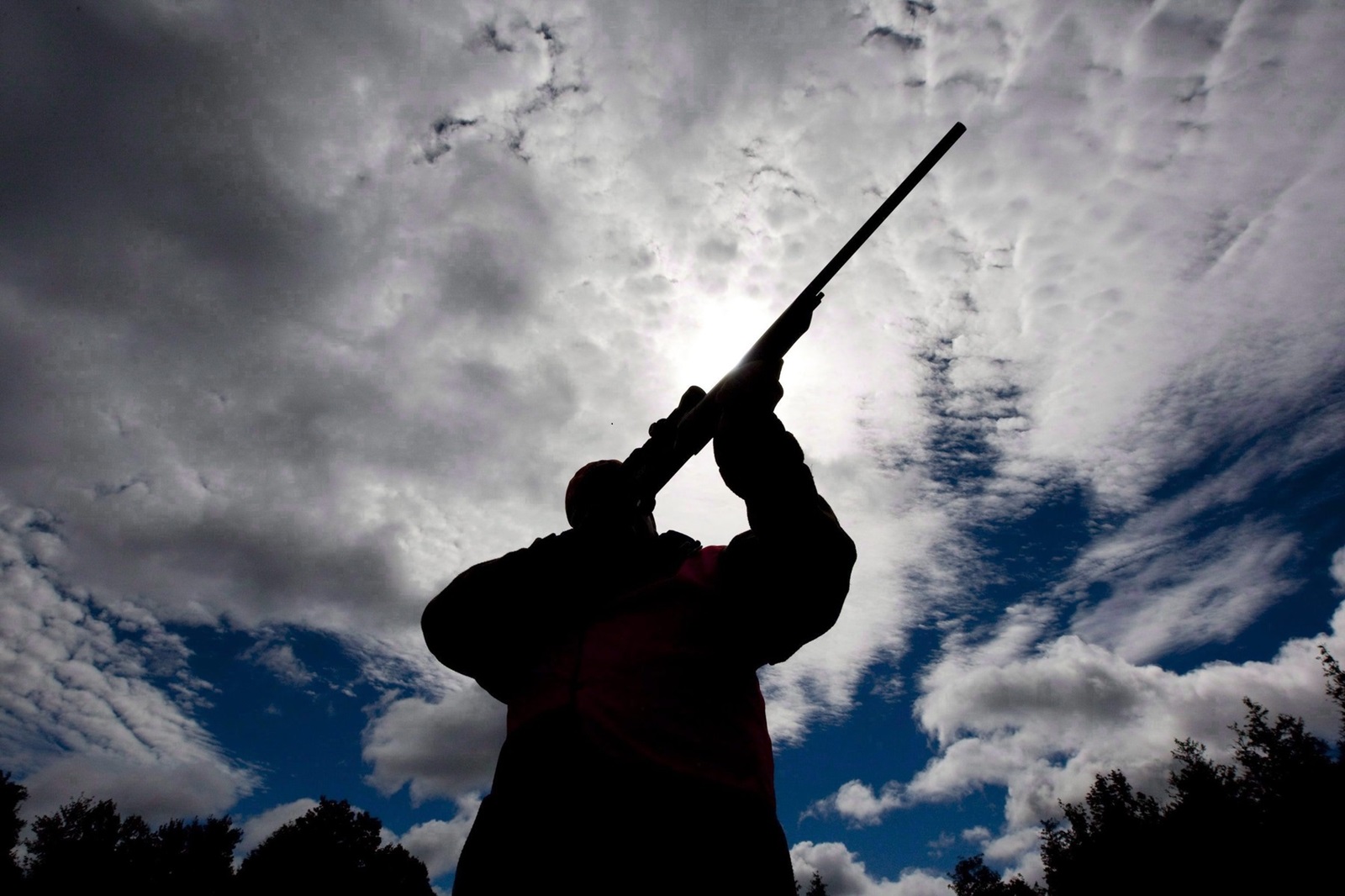 A divided Supreme Court of Canada says the federal government has the right to order the destruction of Quebec's federal gun registry data Â but all three Quebec judges on the court disagreed. A rifle owner checks the sight of his rifle at a hunting camp property in rural Ontario, west of Ottawa, on Wednesday Sept. 15, 2010.,Image: 234503646, License: Rights-managed, Restrictions: World rights excluding North America, Model Release: no, Credit line: Sean Kilpatrick / PA Images / Profimedia