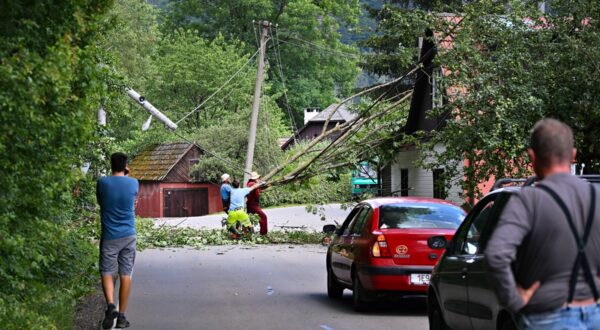 Bouře s přívalovým deštěm způsobila pád několika stromů na elektrické vedení a obytný dům, 28. června 2024, Vír, Žďársko.,Image: 885541052, License: Rights-managed, Restrictions: , Model Release: no, Credit line: Pavlíček Luboš / ČTK / Profimedia