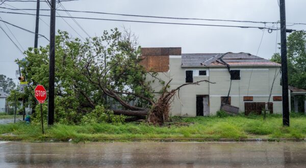 HOUSTON, TEXAS - JULY 08: A tree is toppled over by heavy winds during Hurricane Beryl on July 08, 2024 in Houston, Texas. Tropical Storm Beryl developed into a Category 1 hurricane as it hit the Texas coast late last night.   Brandon Bell,Image: 888252280, License: Rights-managed, Restrictions: , Model Release: no, Credit line: Brandon Bell / Getty images / Profimedia