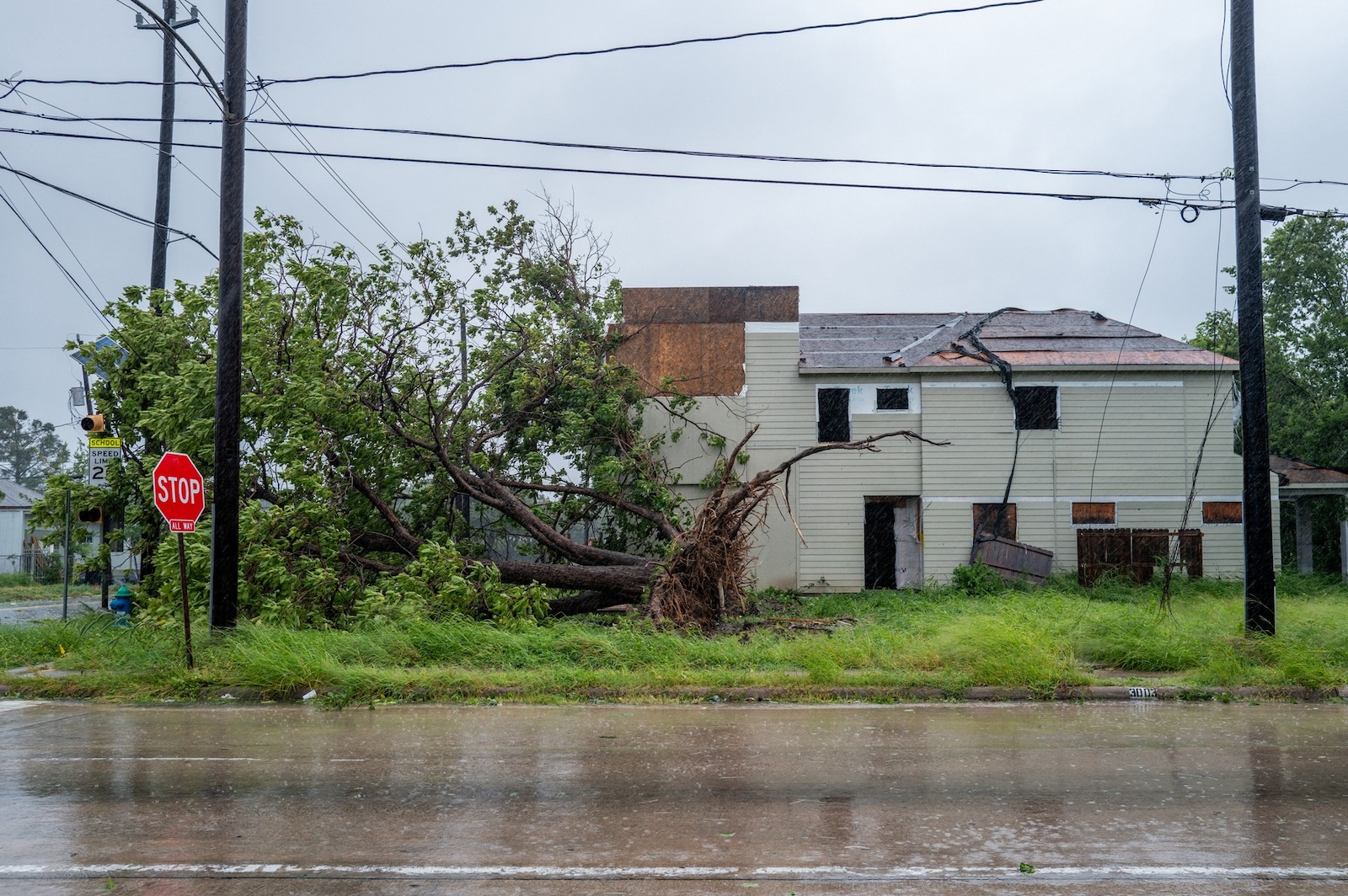 HOUSTON, TEXAS - JULY 08: A tree is toppled over by heavy winds during Hurricane Beryl on July 08, 2024 in Houston, Texas. Tropical Storm Beryl developed into a Category 1 hurricane as it hit the Texas coast late last night.   Brandon Bell,Image: 888252280, License: Rights-managed, Restrictions: , Model Release: no, Credit line: Brandon Bell / Getty images / Profimedia