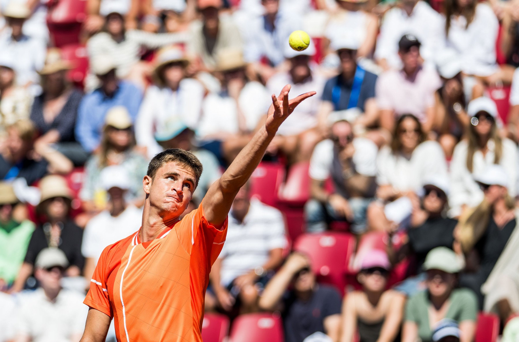 240720 Duje Ajdukovic of Croatia during day 6 of the Nordea Open on July 20, 2024 in Bĺstad. 
Photo: Niclas Jönsson / BILDBYRĹN / COP 273 / NO0290
tennis atp 250 nordea open bbeng,Image: 891043960, License: Rights-managed, Restrictions: *** World Rights Except Austria, Denmark, Finland, Norway, and  Sweden *** AUTOUT DNKOUT FINOUT NOROUT SWEOUT, Model Release: no, Credit line: Bildbyran / ddp USA / Profimedia