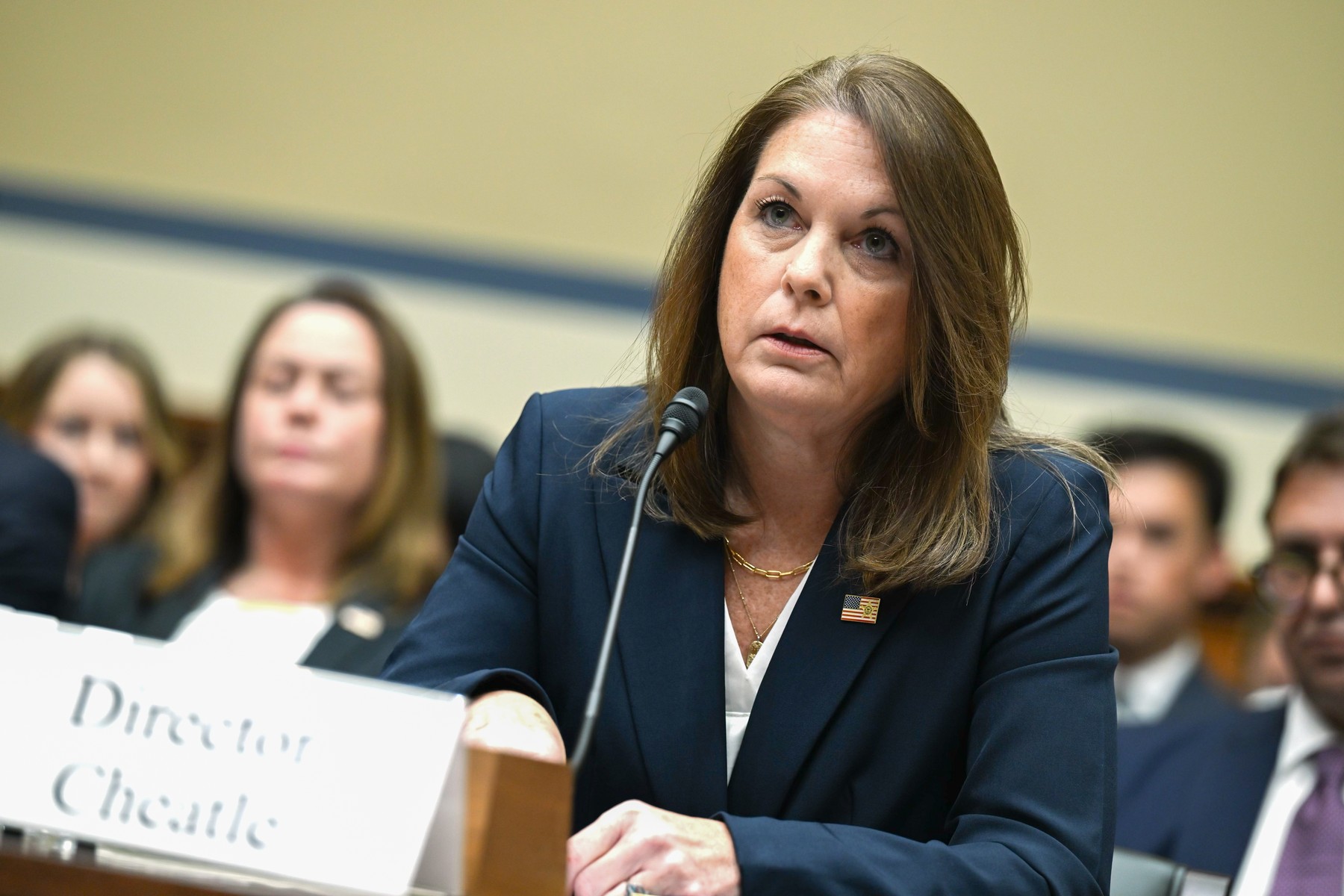 July 22, 2024, Washington, District Of Columbia, USA: Director of the United States Secret Service Kimberly Cheatle testifies before the US House Committee on Oversight and Accountability in the Rayburn House office building on Monday, July 22, 2024. Former President Donald Trump recently sustained injuries from an alleged bullet grazing his ear at a rally in Pennsylvania, prompting members of Congress to turn to Cheatle for answers,Image: 891462228, License: Rights-managed, Restrictions: , Model Release: no, Credit line: Annabelle Gordon / Zuma Press / Profimedia