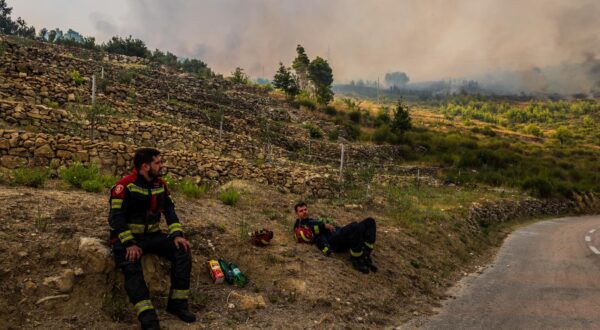 31.07.2024., Podgora  - Pozar koji je jucer buknio povise Tucepa prosirio se u poslijepodnevnim satima i na podgoru i ostatak Biokova. Photo: Zvonimir Barisin/PIXSELL