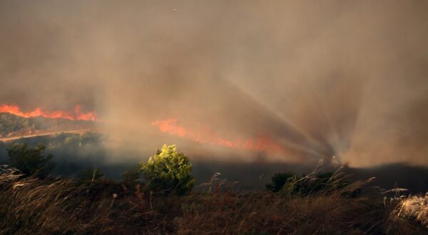 epa11545831 Thick smoke rises during a wildfire that broke out in an area of farmland and forest in Varnavas, Attica region, Greece, 11 August 2024. The forces working to extinguish the Varnavas fire include 250 firefighters with 10 teams of forest commandos, 67 vehicles and a large number of volunteers, 12 firefighting airplanes and seven helicopters in the air and one helicopter for coordination. Assistance is also being provided by digging machinery and water trucks of the Attica Region and the armed forces. Varnavas residents have been instructed to evacuate the area via a message from the 112 emergency number.  EPA/ALEXANDROS BELTES