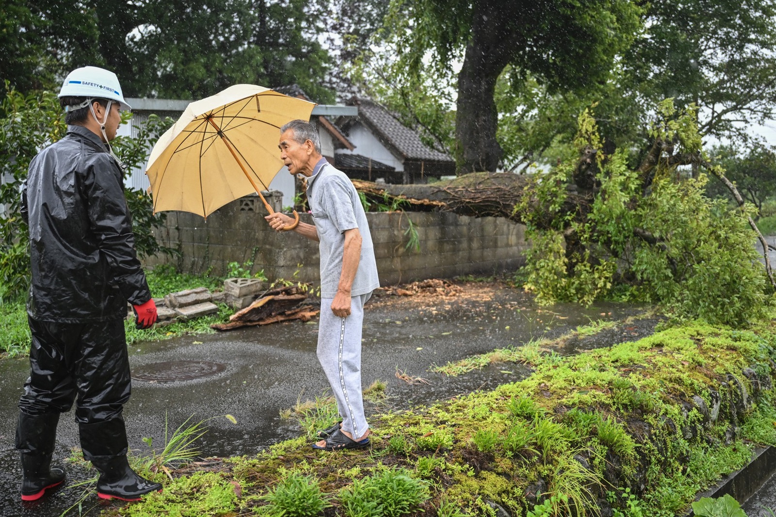 People chat next to a fallen tree brought down by strong winds from Typhoon Shanshan in Usa, Oita prefecture on August 29, 2024. Typhoon Shanshan hit Japan with full force on August 29, injuring dozens as howling winds smashed windows and blew tiles off houses while torrential rains turned rivers into raging torrents.,Image: 902646014, License: Rights-managed, Restrictions: , Model Release: no, Credit line: Yuichi YAMAZAKI / AFP / Profimedia