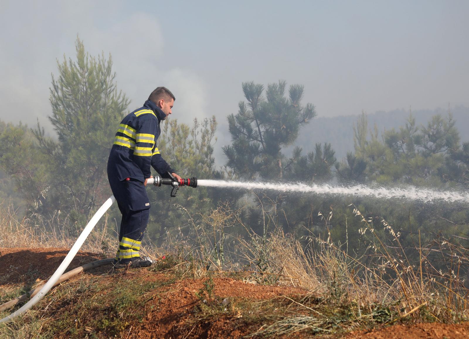 31.07.2024., Plastovo - Vatrogasci se bore s pozarom koji je zahvatio sumu na potezu mjesta Plastovo i Dubravica nedaleko nacionalnog parka Krka. Photo: Dusko Jaramaz/PIXSELL