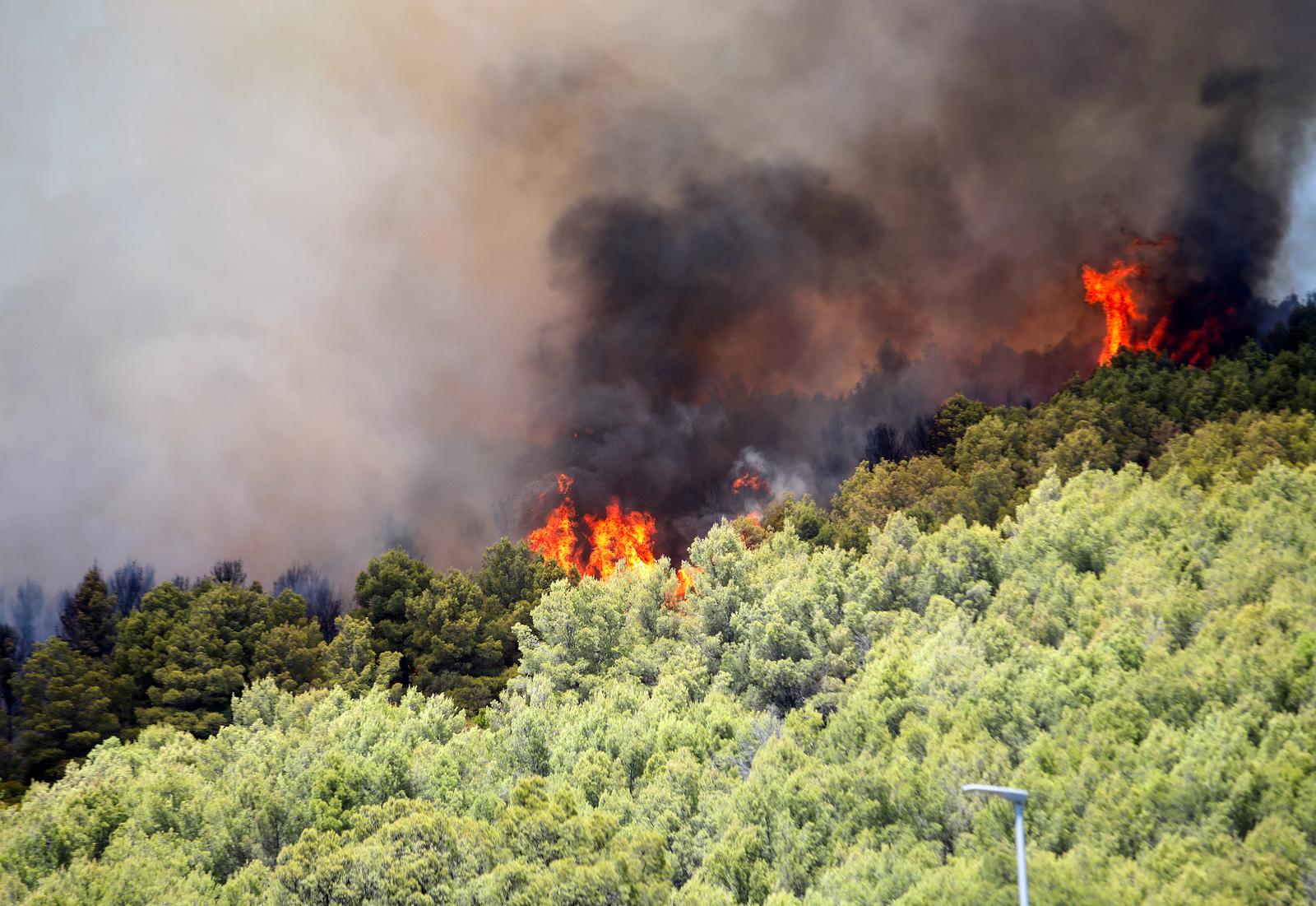 06.08.2024., Sibenik - Nesto prije 13 sati izbio je pozar u borovoj sumi u sibenskom naselju Rokici, odmah pokraj bolnice i stambenih kuca. Na terenu su vatrogasci i policija, a pozvana je i pomoc iz zraka. Suma se nalazi iznad Jadranske magistrale koja je zbog pozara zatvorena za sav promet. Photo: Dusko Jaramaz/PIXSELL