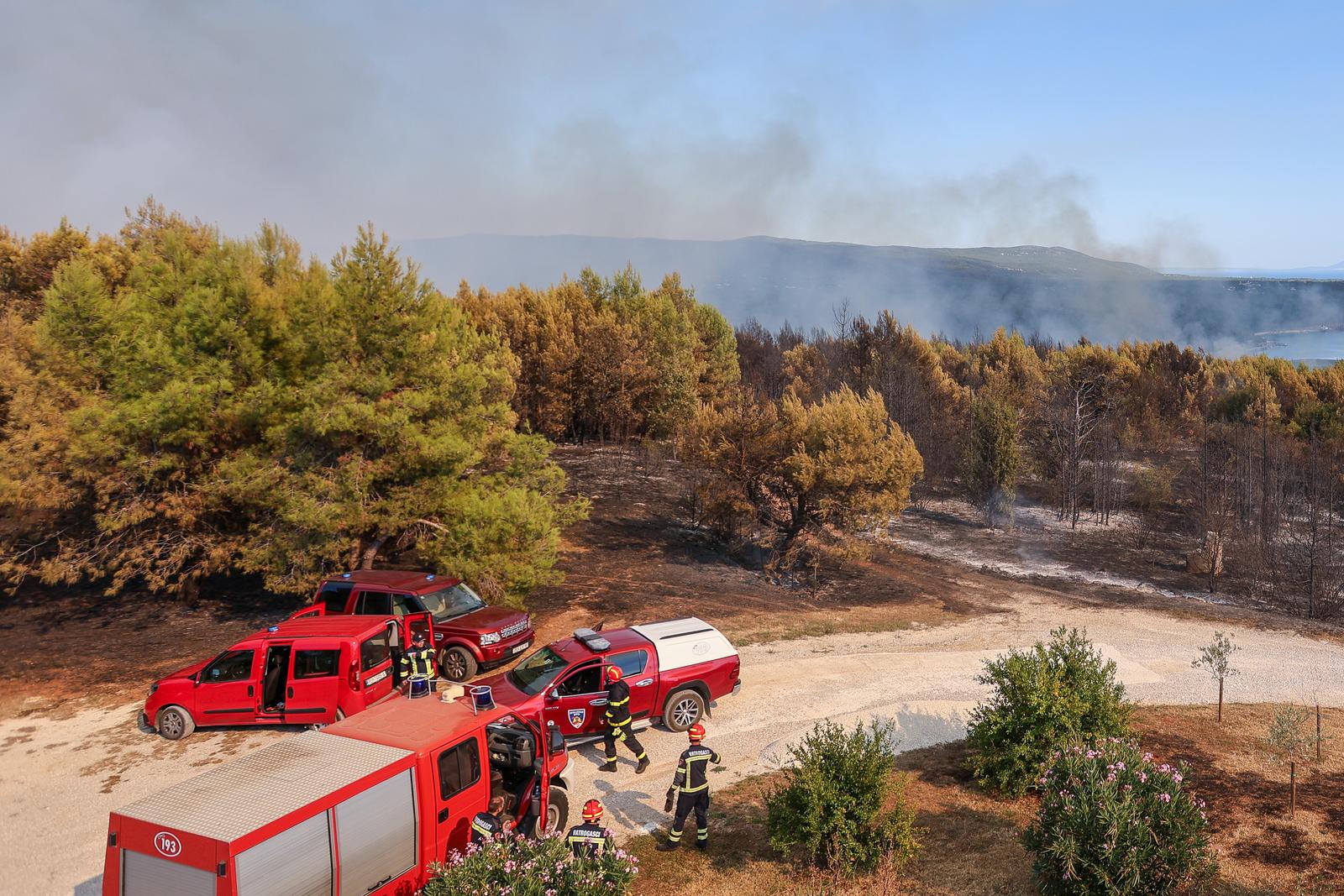 12.08.2024., Barban - U velikom pozaru koji je danas oko 15:20 izbio u Punteri, na podrucju Barbana, do sada je izgorjelo 50-ak hektara bjelogoricne i borove sume, maslina i niskog raslinja, potvrdio je vatrogasni zapovjednik Istarske županije Dino Kozlevac. Na terenu je 35 vatrogasaca s dvanaest vozila, a u gasenju pozara pomazu i dva kanadera. Photo: Srecko Niketic/PIXSELL