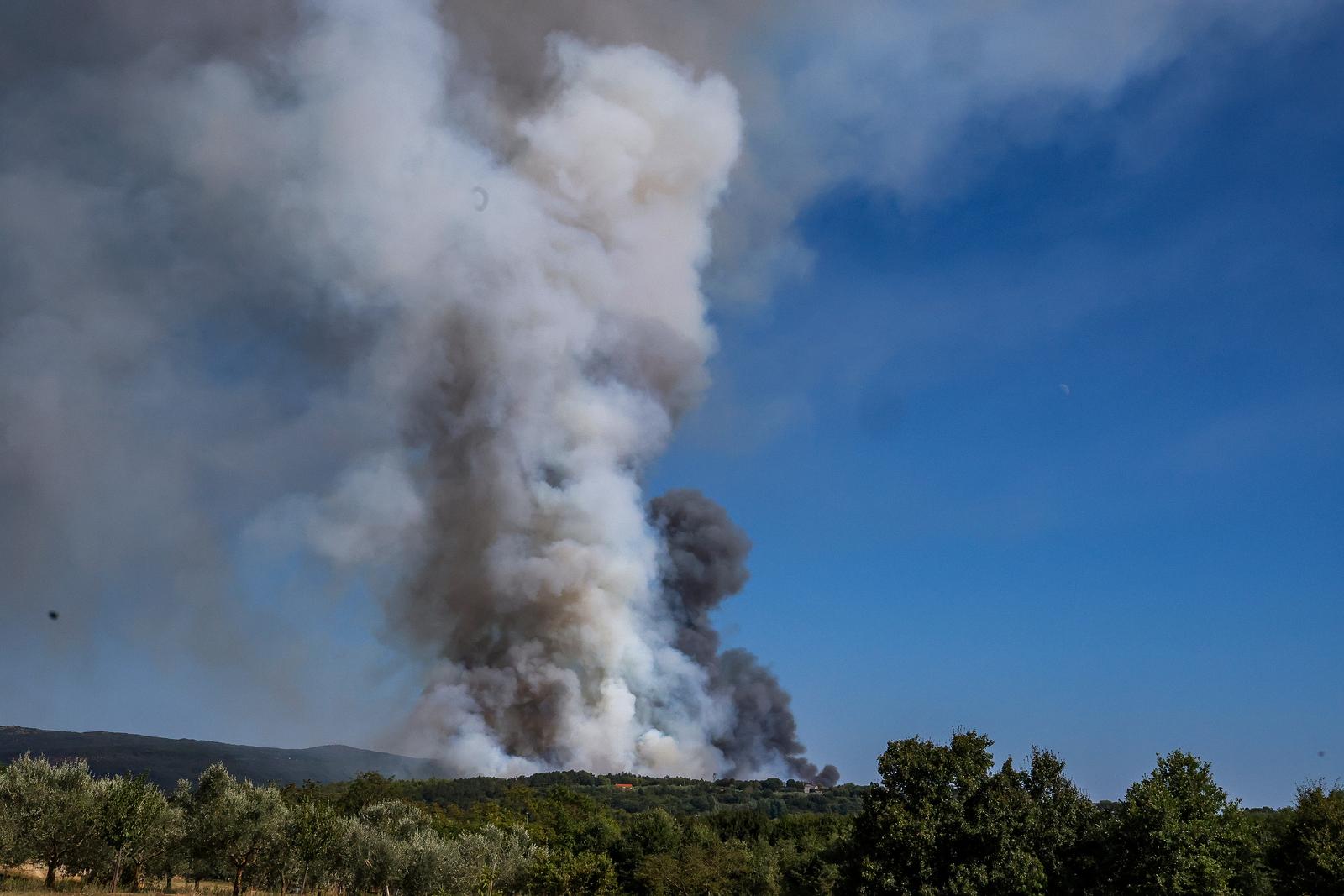 12.08.2024., Barban - 
U velikom pozaru koji je danas oko 15:20 izbio u Punteri, na podrucju Barbana, do sada je izgorjelo 50-ak hektara bjelogoricne i borove sume, maslina i niskog raslinja, potvrdio je vatrogasni zapovjednik Istarske županije Dino Kozlevac. Na terenu je 35 vatrogasaca s dvanaest vozila, a u gasenju pozara pomazu i dva kanadera. Photo: Srecko Niketic/PIXSELL