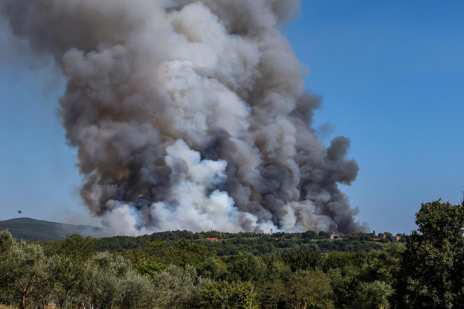 12.08.2024., Barban - 
U velikom pozaru koji je danas oko 15:20 izbio u Punteri, na podrucju Barbana, do sada je izgorjelo 50-ak hektara bjelogoricne i borove sume, maslina i niskog raslinja, potvrdio je vatrogasni zapovjednik Istarske županije Dino Kozlevac. Na terenu je 35 vatrogasaca s dvanaest vozila, a u gasenju pozara pomazu i dva kanadera. Photo: Srecko Niketic/PIXSELL