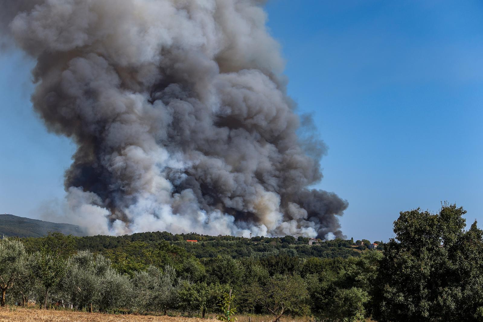 12.08.2024., Barban - 
U velikom pozaru koji je danas oko 15:20 izbio u Punteri, na podrucju Barbana, do sada je izgorjelo 50-ak hektara bjelogoricne i borove sume, maslina i niskog raslinja, potvrdio je vatrogasni zapovjednik Istarske županije Dino Kozlevac. Na terenu je 35 vatrogasaca s dvanaest vozila, a u gasenju pozara pomazu i dva kanadera. Photo: Srecko Niketic/PIXSELL