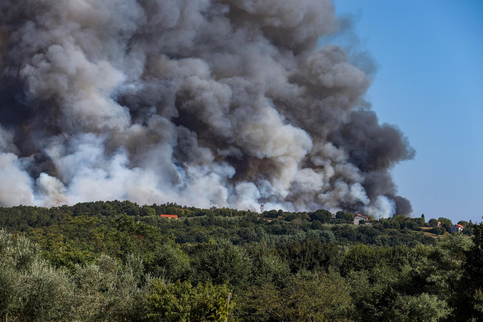 12.08.2024., Barban - 
U velikom pozaru koji je danas oko 15:20 izbio u Punteri, na podrucju Barbana, do sada je izgorjelo 50-ak hektara bjelogoricne i borove sume, maslina i niskog raslinja, potvrdio je vatrogasni zapovjednik Istarske županije Dino Kozlevac. Na terenu je 35 vatrogasaca s dvanaest vozila, a u gasenju pozara pomazu i dva kanadera. Photo: Srecko Niketic/PIXSELL