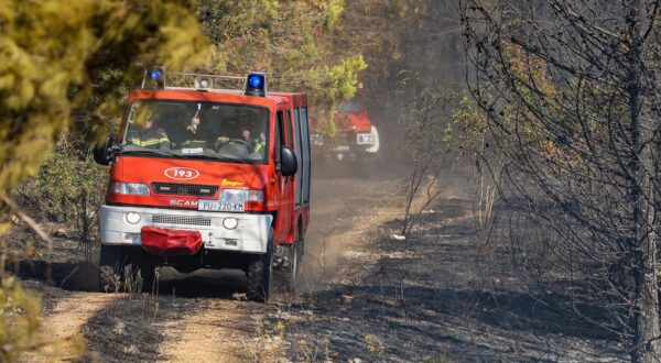 12.08.2024., Barban - 
U velikom pozaru koji je danas oko 15:20 izbio u Punteri, na podrucju Barbana, do sada je izgorjelo 50-ak hektara bjelogoricne i borove sume, maslina i niskog raslinja, potvrdio je vatrogasni zapovjednik Istarske županije Dino Kozlevac. Na terenu je 35 vatrogasaca s dvanaest vozila, a u gasenju pozara pomazu i dva kanadera. Photo: Srecko Niketic/PIXSELL