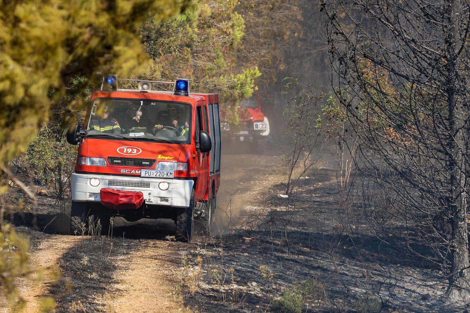 12.08.2024., Barban - 
U velikom pozaru koji je danas oko 15:20 izbio u Punteri, na podrucju Barbana, do sada je izgorjelo 50-ak hektara bjelogoricne i borove sume, maslina i niskog raslinja, potvrdio je vatrogasni zapovjednik Istarske županije Dino Kozlevac. Na terenu je 35 vatrogasaca s dvanaest vozila, a u gasenju pozara pomazu i dva kanadera. Photo: Srecko Niketic/PIXSELL