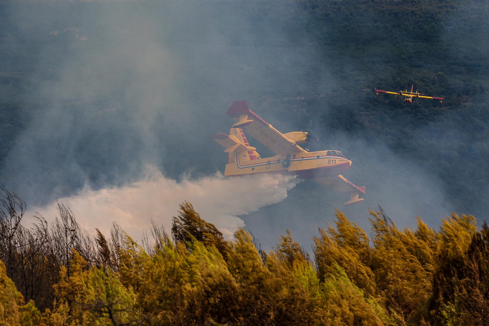 12.08.2024., Barban - 
U velikom pozaru koji je danas oko 15:20 izbio u Punteri, na podrucju Barbana, do sada je izgorjelo 50-ak hektara bjelogoricne i borove sume, maslina i niskog raslinja, potvrdio je vatrogasni zapovjednik Istarske županije Dino Kozlevac. Na terenu je 35 vatrogasaca s dvanaest vozila, a u gasenju pozara pomazu i dva kanadera. Photo: Srecko Niketic/PIXSELL