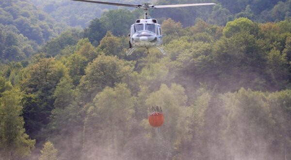 13.08.2024., Tjentiste, Bosna i Hercegovina - Pet helikoptera Helikopterskog servisa Republike Srpske, Helikopterskog servisa Srbije i Oruzanih snaga Bosne i Hercegovine iz zraka gase pozar na Tjentistu gdje gori stoljetna crnogoricna suma. Photo: Armin Durgut/PIXSELL