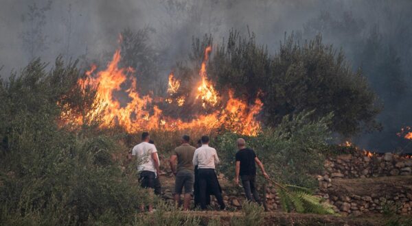 27.08.2024., Zrnovnica - U poslijepodnevnim satima vjetar je ponovno razbuktao pozar koji je usao u Zrnovnicu. Photo: Zvonimir Barisin/PIXSELL