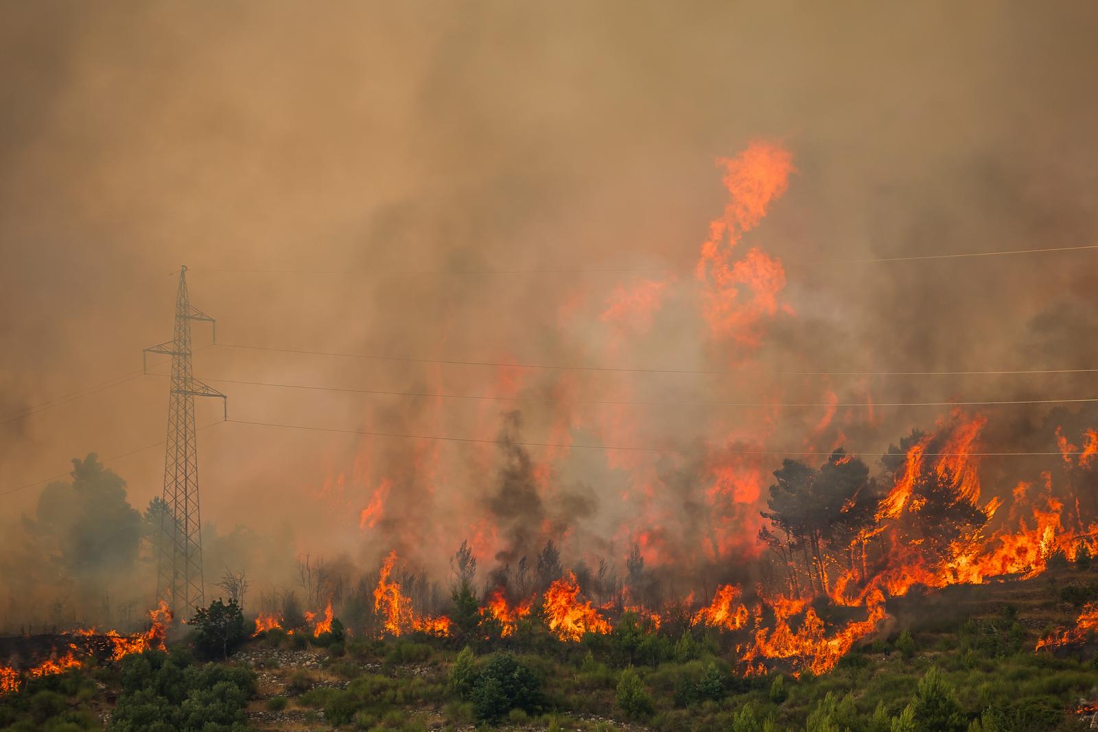 31.07.2024., Podgora  - Pozar koji je jucer buknio povise Tucepa prosirio se u poslijepodnevnim satima i na podgoru i ostatak Biokova. Photo: Zvonimir Barisin/PIXSELL